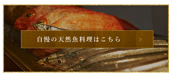 自慢の天然魚料理